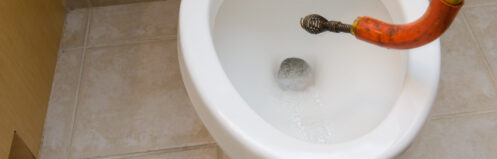 Plumber's snake unclogging a toilet