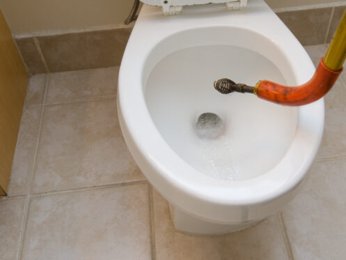 Plumber's snake unclogging a toilet
